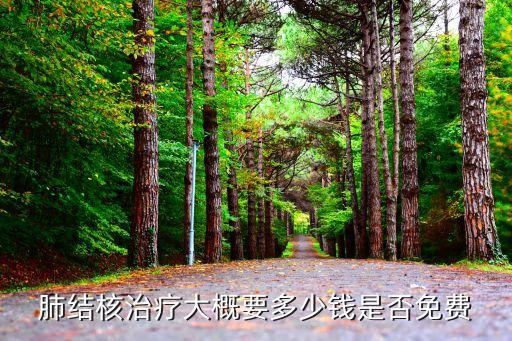 外地人在廣州治療肺結核要多少錢，肺結核治療費用廣佛地區大概要多小錢