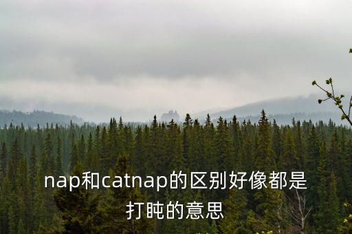 nap和catnap的區別好像都是打盹的意思