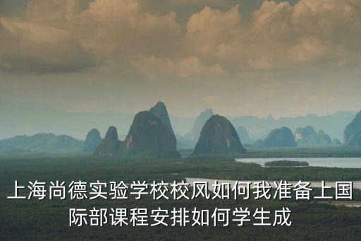 上海尚德實驗學校校風如何我準備上國際部課程安排如何學生成