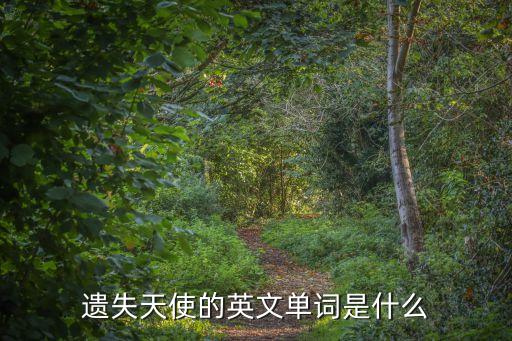 遺失天使的英文單詞是什么