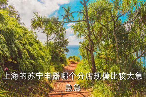 上海市比較大的蘇寧門店，上海的蘇寧電器哪個(gè)分店規(guī)模比較大急急急