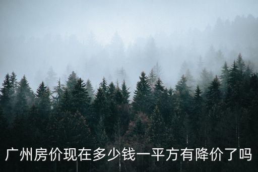 廣州海印花園降價房價，廣州房價現在多少錢一平方有降價了嗎