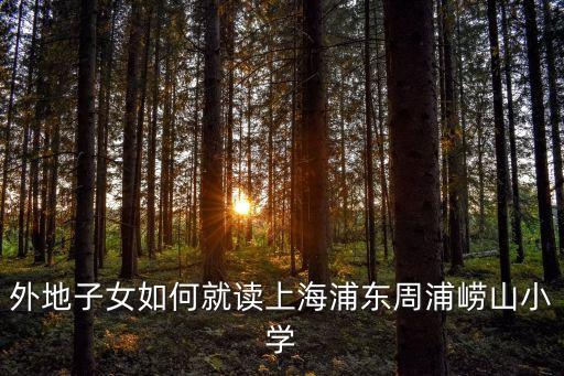 上海市嶗山小學分校，上海周浦鎮(zhèn)嶗山小學屬于哪個教育局管