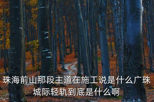 廣州到珠海前山的輕軌，廣州南站到珠海前山坐輕軌多少錢啊