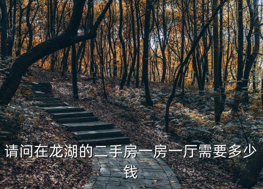 請問在龍湖的二手房一房一廳需要多少錢