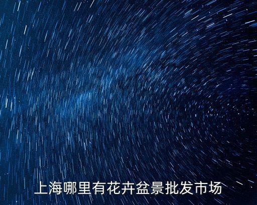 上海市富貴竹批發(fā)市場，上海哪里有竹子賣粗的細的都要