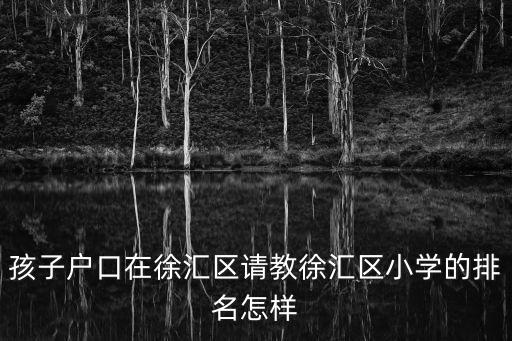 孩子戶口在徐匯區請教徐匯區小學的排名怎樣