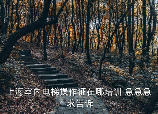 上海室內電梯操作證在哪培訓 急急急 求告訴