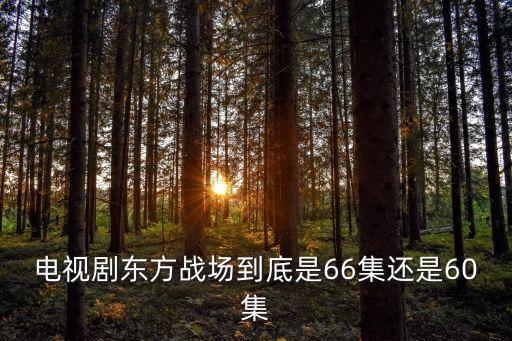 東方戰場上海市第幾集，東方戰場一共多少集
