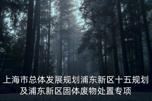 上海市總體發展規劃浦東新區十五規劃及浦東新區固體廢物處置專項