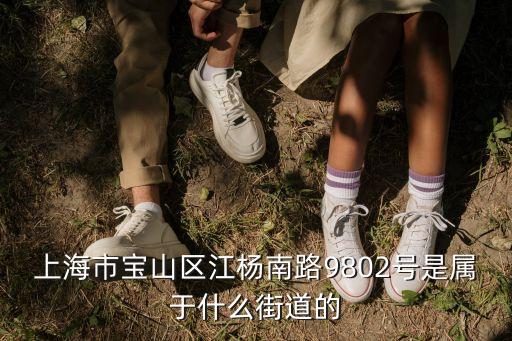 上海市寶山區江楊南路姚家塘村圖片，上海市寶山區月浦鎮春雷路331弄在哪  急急