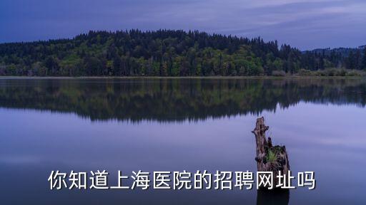 上海市白玉蘭醫院招聘，上海醫院招聘
