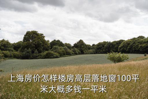 上海房價怎樣樓房高層落地窗100平米大概多錢一平米