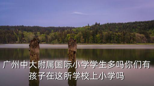 廣州平沙松園中西街學區學校，廣州中大附屬國際小學學生多嗎你們有孩子在這所學校上小學嗎