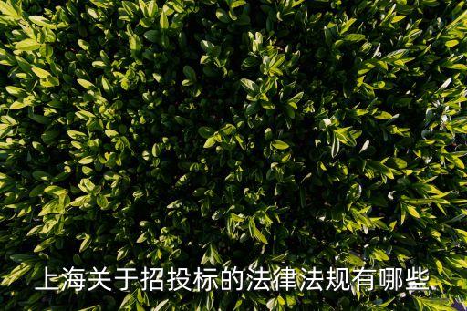 上海市  招標(biāo)投標(biāo)評(píng)定分離，工程量清單招投標(biāo)實(shí)行量?jī)r(jià)分離風(fēng)險(xiǎn)分擔(dān)招標(biāo)人只對(duì)什么負(fù)責(zé)
