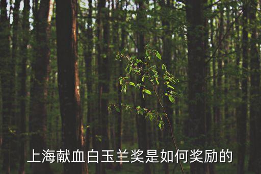 上海市政府要求企業(yè)獻(xiàn)血獎(jiǎng)勵(lì)，請(qǐng)問上海獻(xiàn)血還有補(bǔ)貼真的嗎