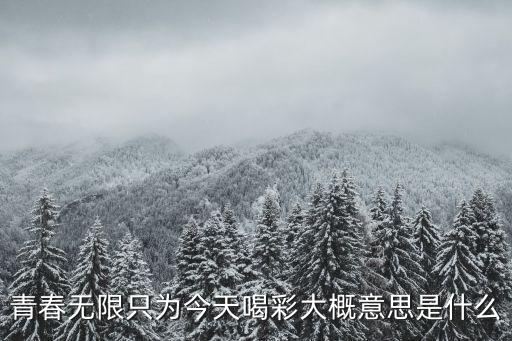 青春無限，青春無限只為今天喝彩大概意思是什么