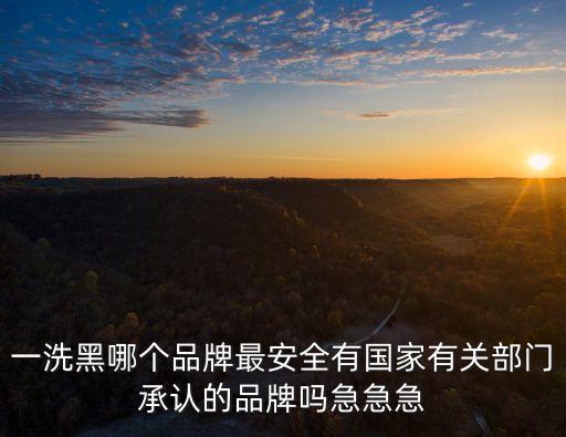 一洗黑哪個品牌最安全有國家有關部門承認的品牌嗎急急急