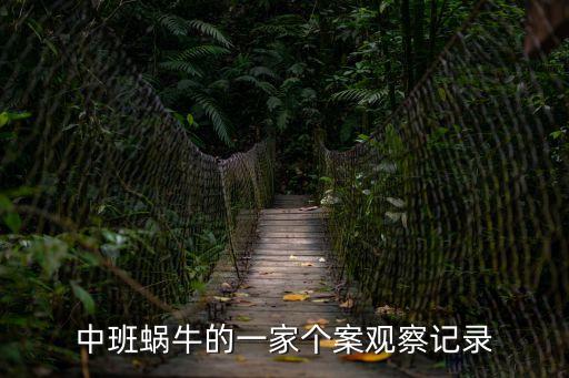 中班蝸牛的一家個(gè)案觀察記錄