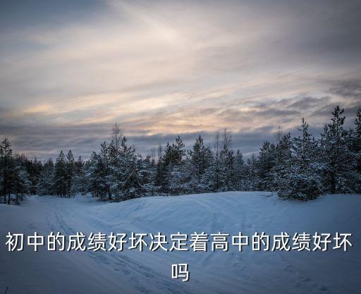 初中成績，中考成績