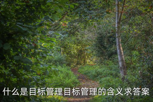 目標管理的概念，目標管理是什么