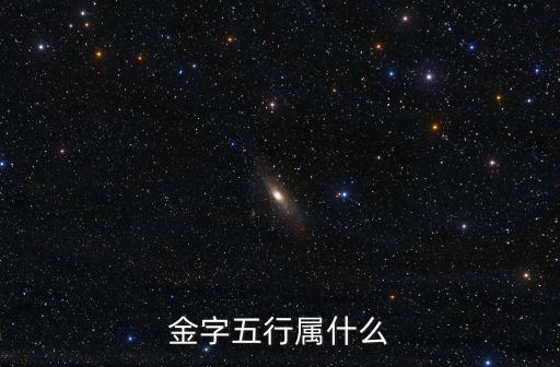 金字五行屬什么