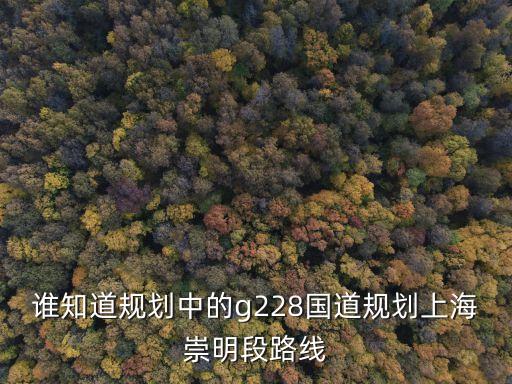 誰知道規劃中的g228國道規劃上海崇明段路線