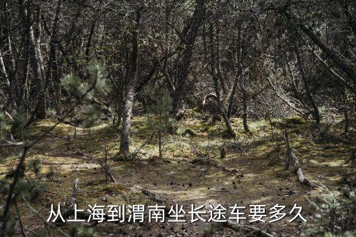 從上海到渭南坐長途車要多久