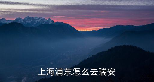上海市瑞安，上海浦東怎么去瑞安