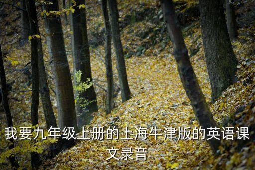 上海市九年級(jí)上冊(cè)英語，求上海教育出版社 英語 九年級(jí)上冊(cè) mp3