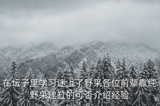 在壇子里學習迷上了野采各位前輩靠純野采建缸的可否介紹經驗