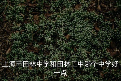 上海市田林二中校長，上海市田林中學和田林二中哪個中學好一點