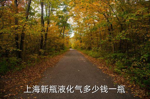 上海新瓶液化氣多少錢一瓶