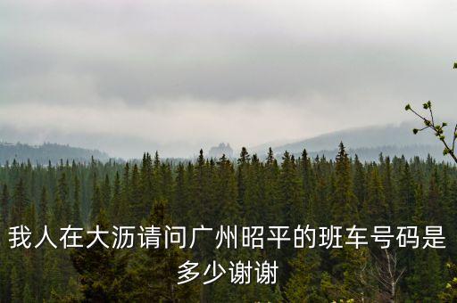 我人在大瀝請問廣州昭平的班車號碼是多少謝謝