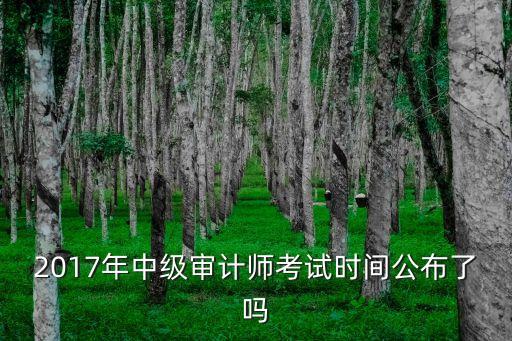 上海市中級審計師考試時間，2017年中級審計師考試時間公布了嗎