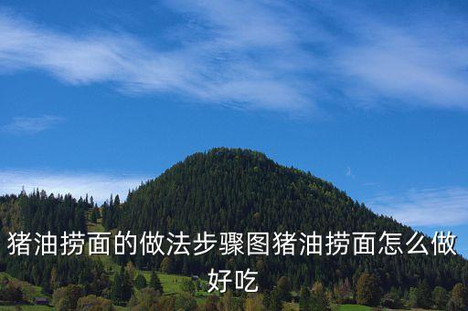 廣州豬手撈面怎么做，豬油撈面的做法步驟圖豬油撈面怎么做好吃