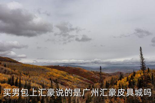 買男包上匯豪說的是廣州匯豪皮具城嗎