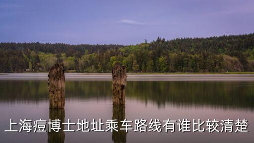 上海痘博士地址乘車路線有誰比較清楚