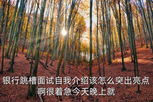 銀行跳槽面試自我介紹該怎么突出亮點啊很著急今天晚上就