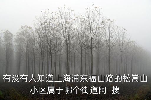 有沒有人知道上海浦東福山路的松嵩山小區屬于哪個街道阿  搜