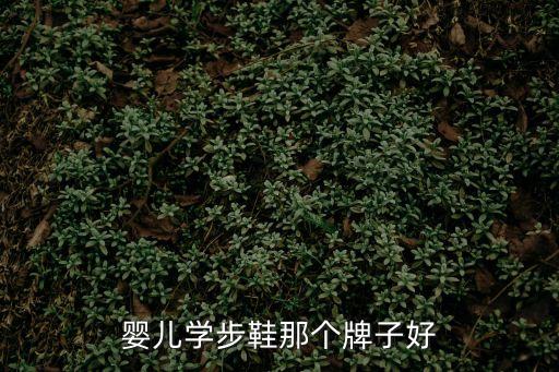 寶寶學步鞋，嬰兒學步鞋那個牌子好