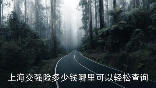 上海市機動車強制險費率，上海汽車保險只交強險要多少錢