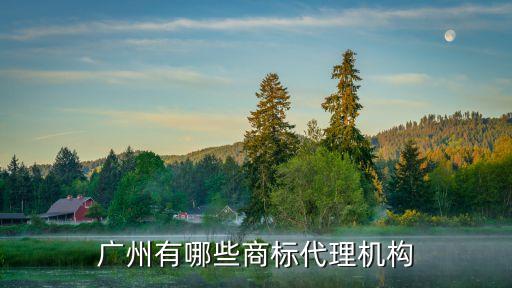 廣州市信毅商標代理，廣州有哪些商標代理機構