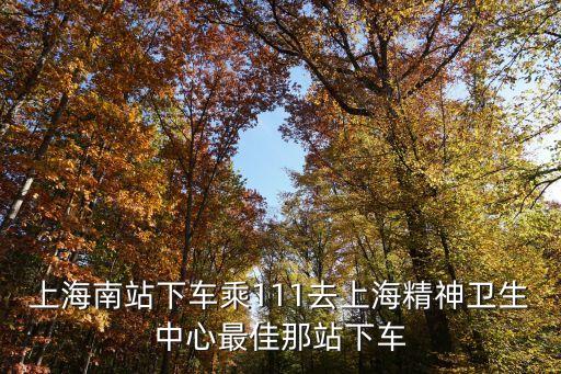 去上海市精神衛生中心，上海精神衛生中心做幾號地鐵哪站下哪個出口
