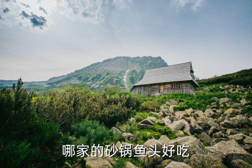 廣州砂鍋魚加盟前十名好吃嗎，哪家的砂鍋魚頭好吃