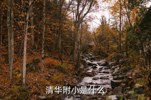 清華大學附屬小學，清華附小在哪