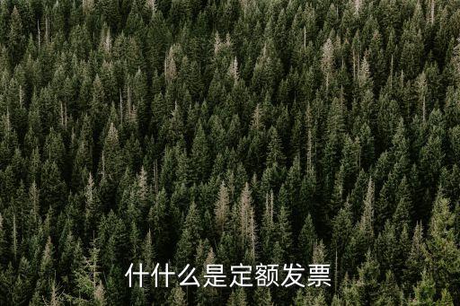 廣州通用定額發票是什么票，定額發票是增值稅發票嗎