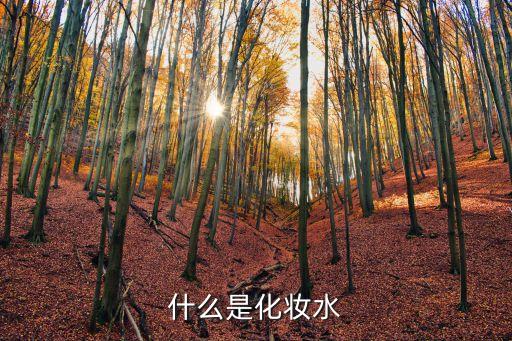 什么是化妝水