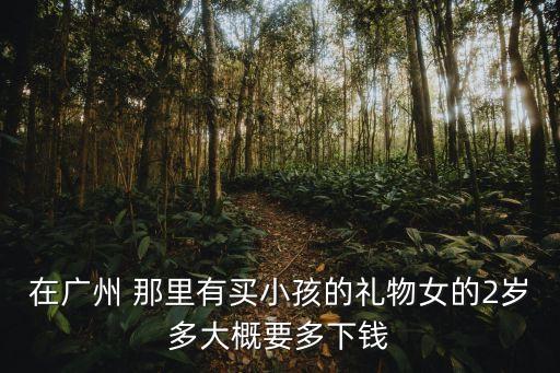 在廣州 那里有買小孩的禮物女的2歲多大概要多下錢