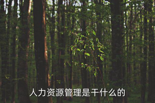 人力資源管理是干什么的